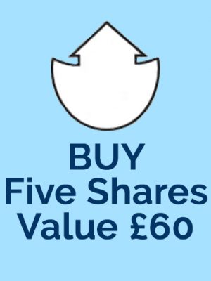 Buy Five Ark Fund Shares